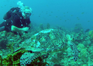 Rencontre � Malendure. 