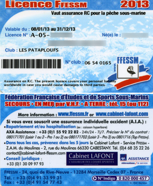 Fac-simil� d'une licence 2013, recto-verso. 