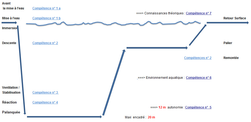 Profil type d'une plong�e P1. 