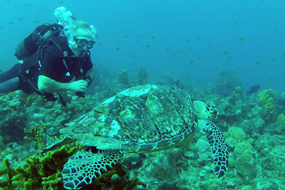 Rencontre fr�quente, mais pas toujours aussi pr�s. 