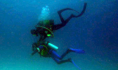 Tr�trapl�gique entre 15 et 20 m�tres. 