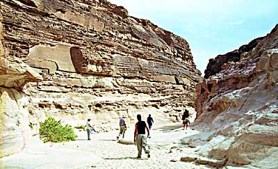 Le canyon color�. c14507