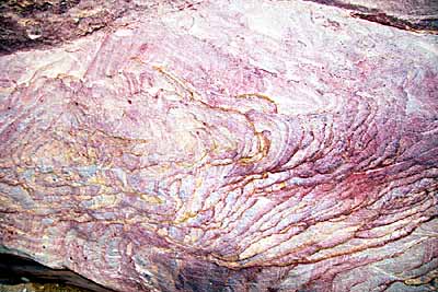 Le canyon color�. c14512