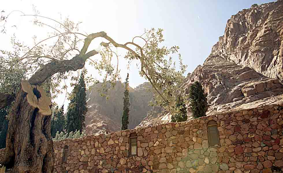 Le monast�re Sainte Catherine. c14405