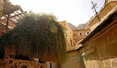 Le monast�re Sainte Catherine. c14416