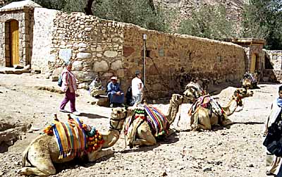 Le monast�re Sainte Catherine. c14434