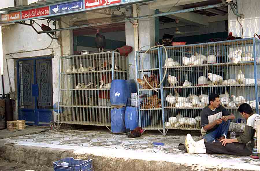 Sharm el Sheikh : Old Market. c143351