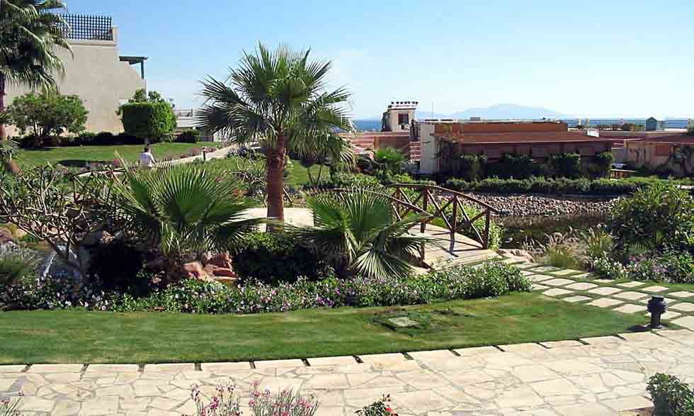 Sharm el Sheikh. 022