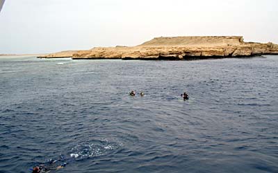 Fin de plong�e. 0134