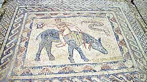 Autre mosa�que de Volubilis. 