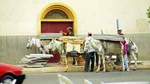 Transports urbains � F�s. 