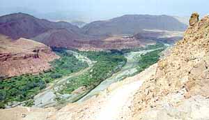 La vall�e des roses : Bou-Thrahar. c07103