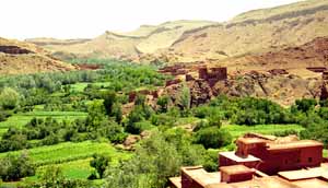 La vall�e du Dad�s. c07506