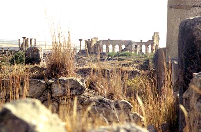 Volubilis. c146224