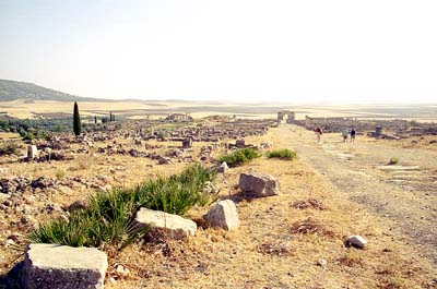 Volubilis. c146254