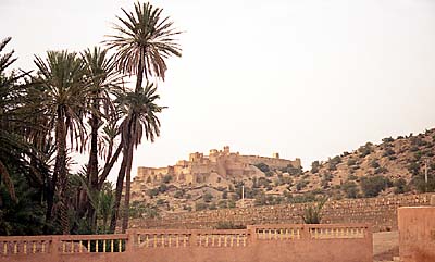 La palmeraie de Tioute. c15206n