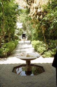 La fra�cheur des jardins de la Bahia. cn0408n