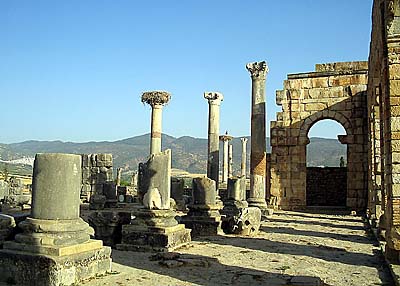 Volubilis. m0280n