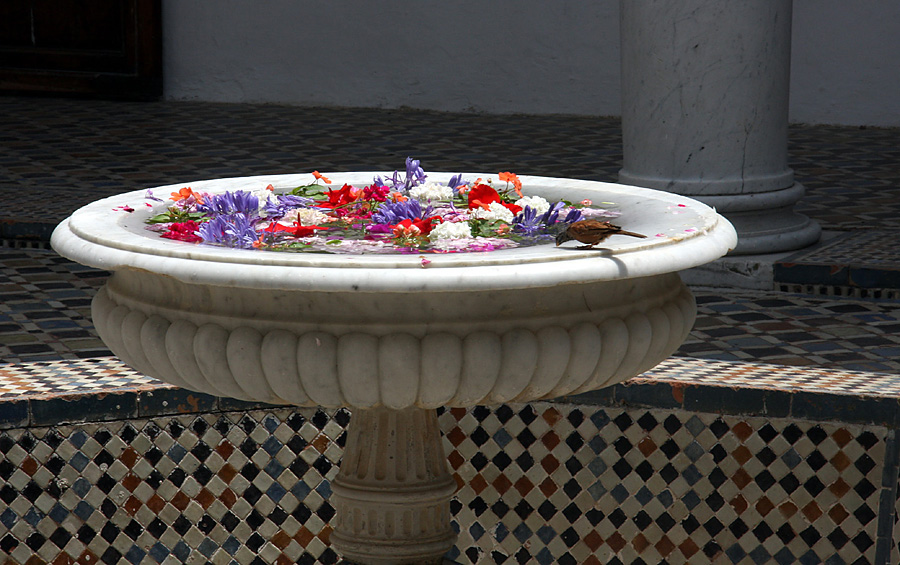 Fontaine. 