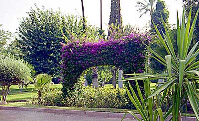 Marrakech - le Kenzi Farah : les jardins. c02215