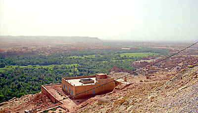 La palmeraie de Tinerhir. 