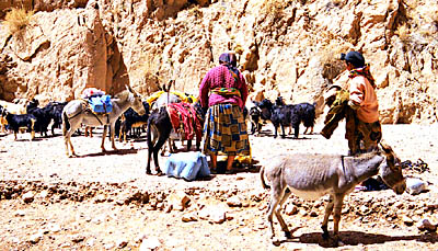 Les gorges du Todra. 