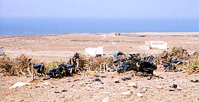 La c�te pr�s d'Agadir. 
