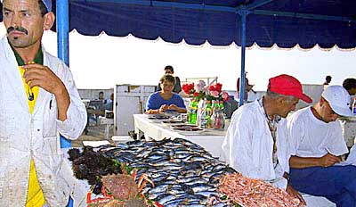 Essaouira : le Port. 