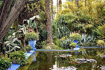 Les jardin Majorelle. 