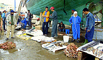 Vente du poisson sur le port d'Essaouira. 