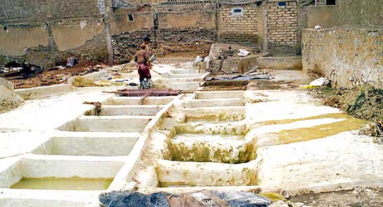 Les tanneries. 