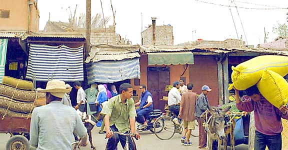 Dans les souks et la m�dina. 