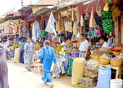 Dans les souks et la m�dina. 