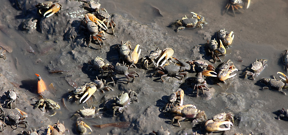 Juste pour le fun ?. 