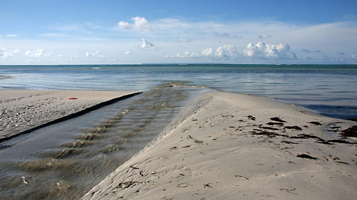 Image embl�matique du ciel tropical. 
