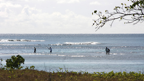 Retour � la p�che. 