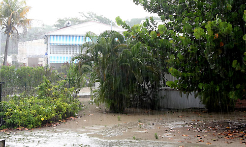 Premier jours de pluie. 